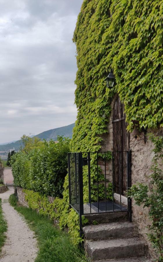 Ferienwohnung Giardino Degli Ulivi Caprino Veronese Exterior foto